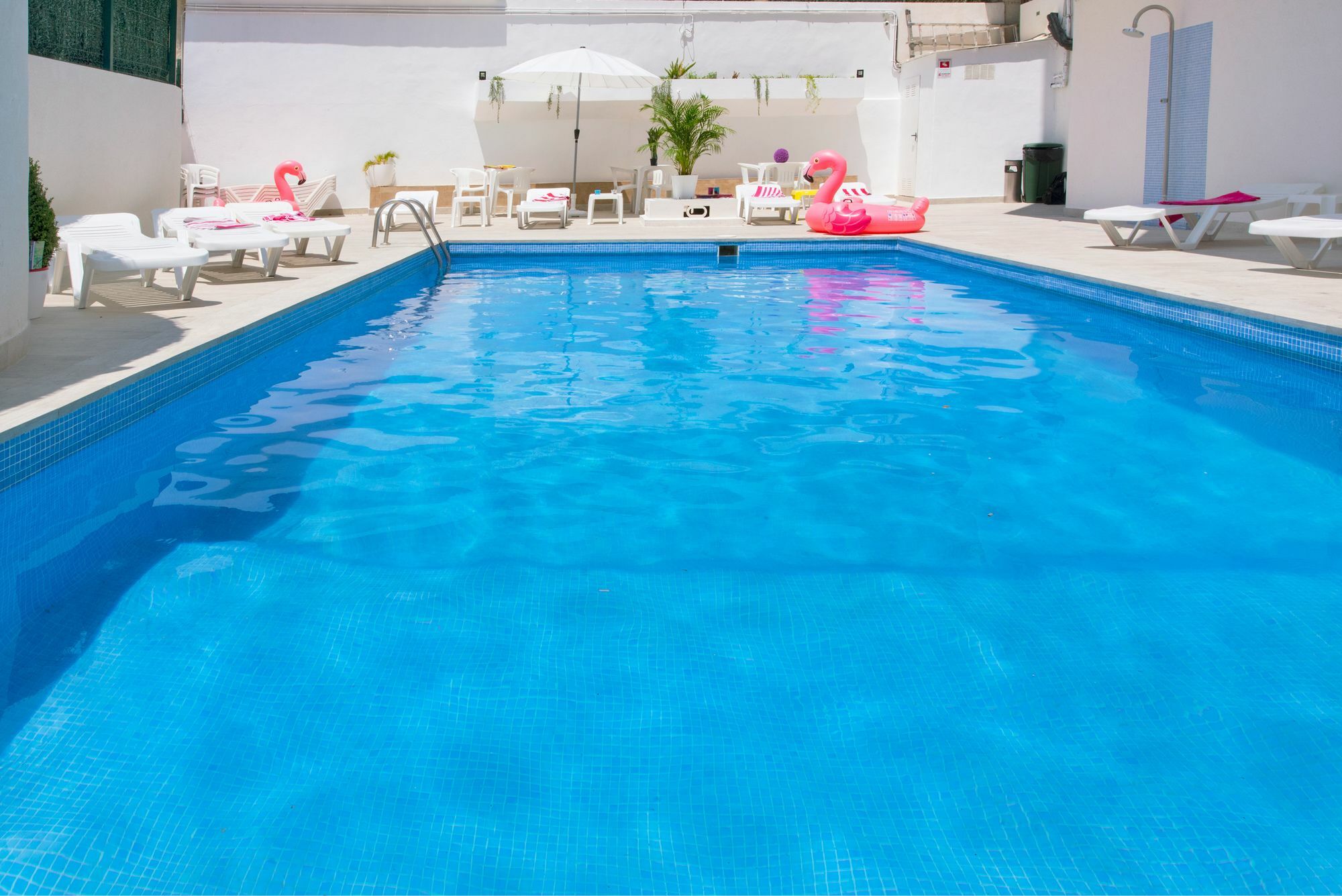 Apartment Payma 6-A *